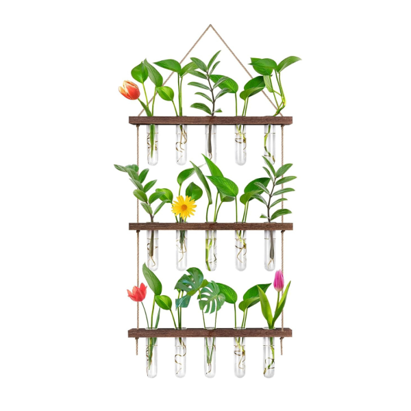 Eveage 3 Tier Propagation Stations Wall Hangings Glass Test Tubes Decor Online Sale